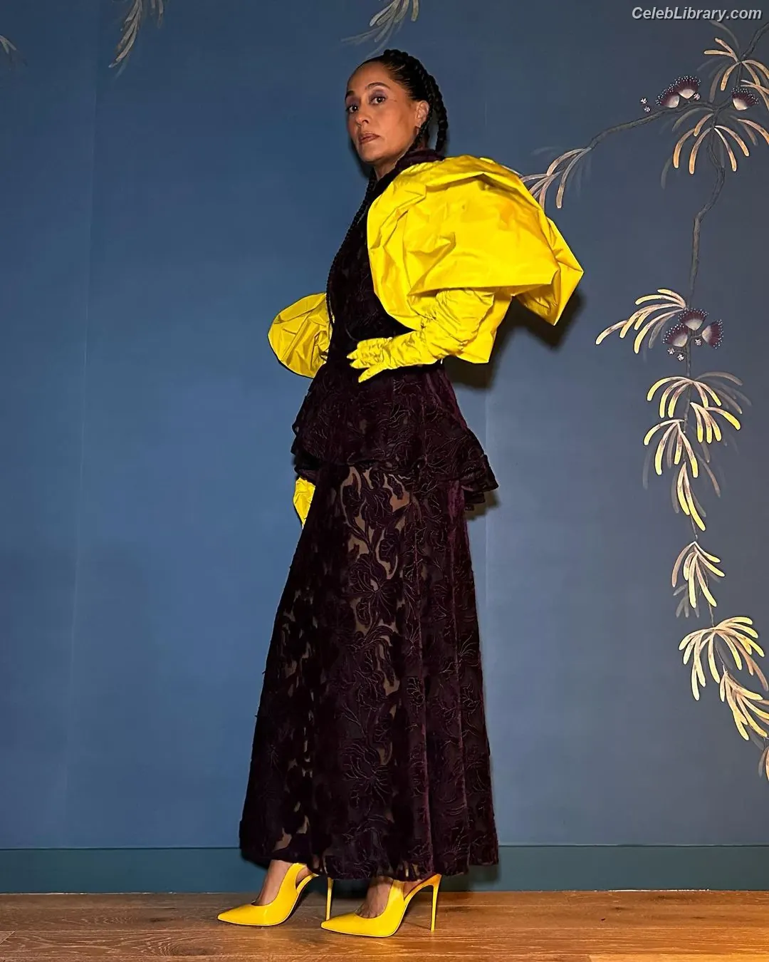 Tracee Ellis Ross photo 3 of 631