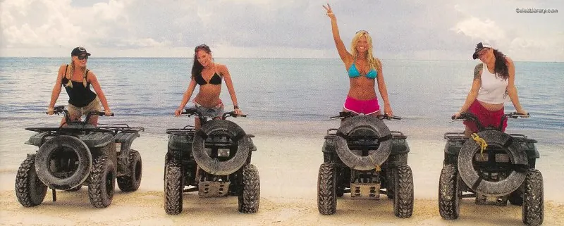 Trish Stratus photo 1 of 1622