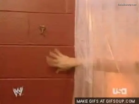 Trish Stratus photo 17 of 1622