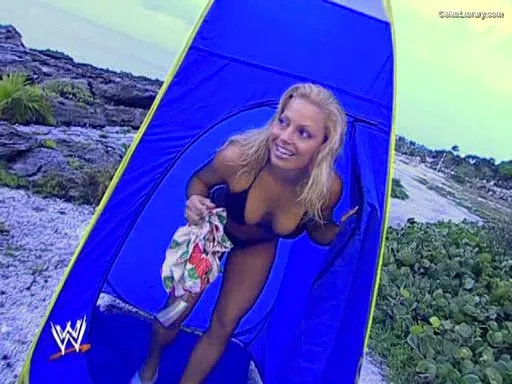 Trish Stratus photo 23 of 1611