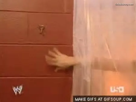 Trish Stratus photo 14 of 1611