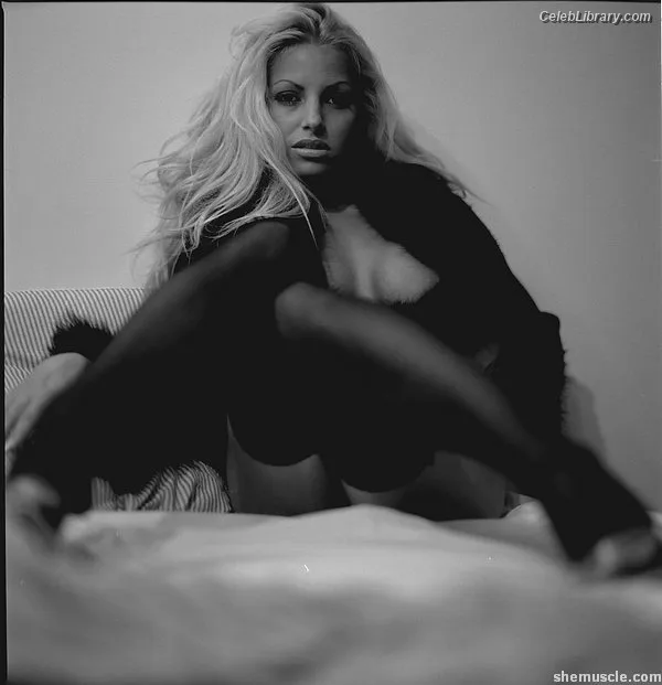 Trish Stratus photo 3 of 1611