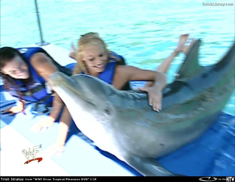 Trish Stratus photo 10 of 1611