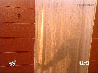 Trish Stratus photo 16 of 1611