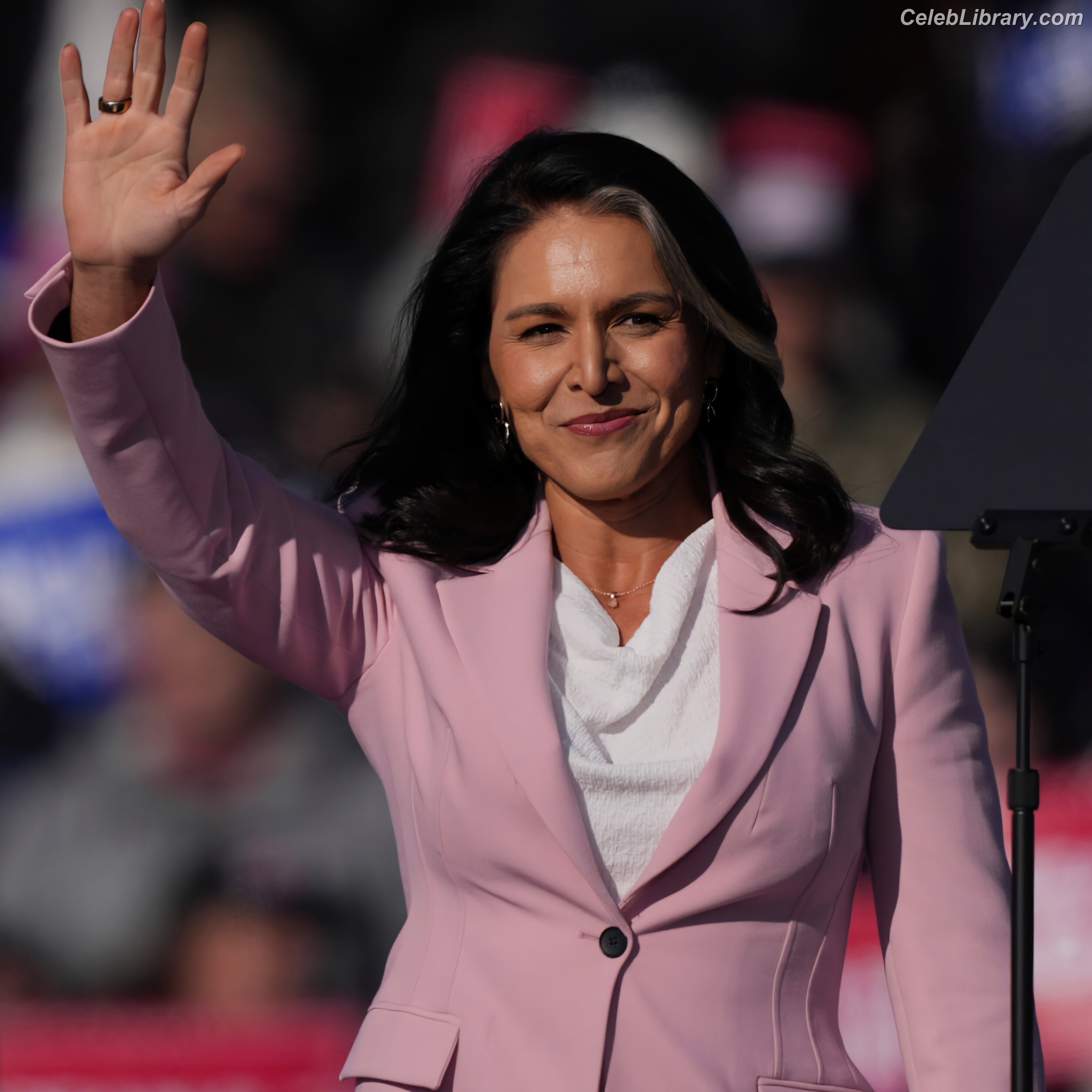 Tulsi Gabbard photo 13 of 94
