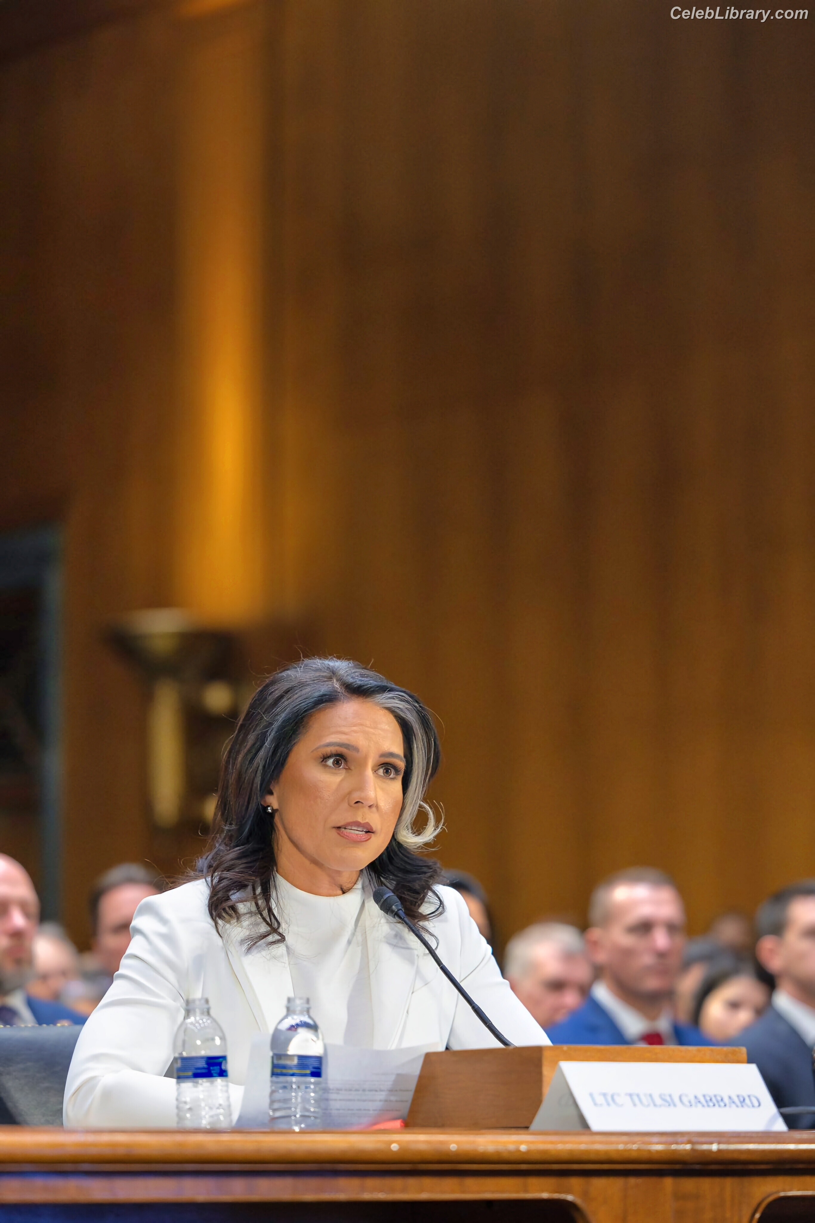 Tulsi Gabbard photo 23 of 94