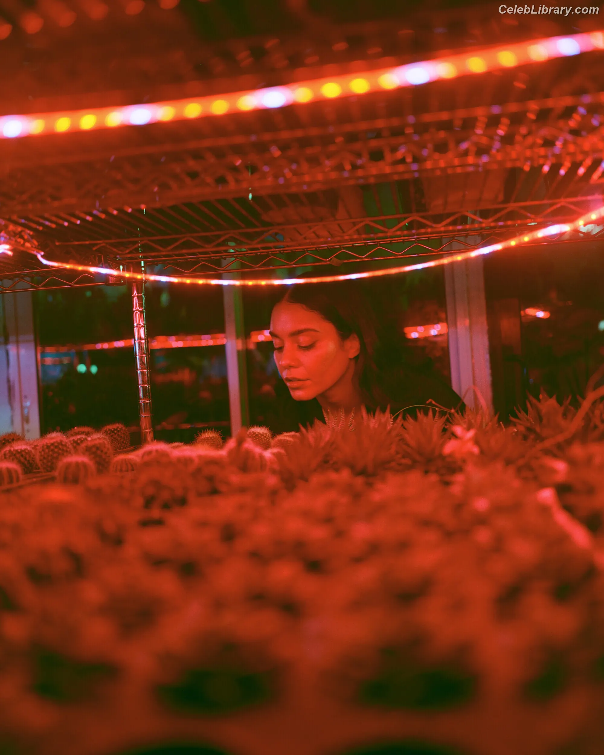 Vanessa Hudgens photo 21 of 1612