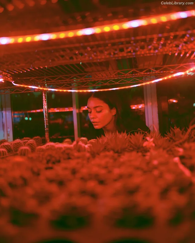 Vanessa Hudgens photo 16 of 1607