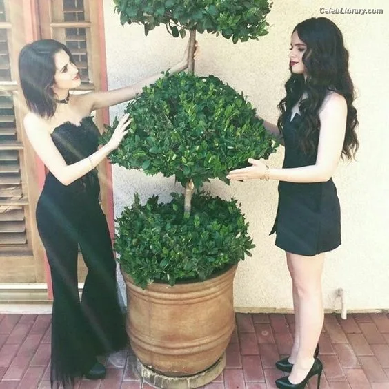 Vanessa Marano photo 24 of 1085