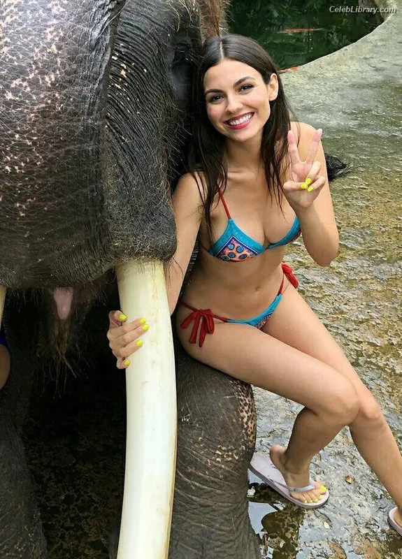 Victoria Justice photo 5 of 3442