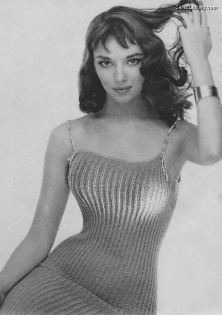 Vikki Dougan photo 9 of 17