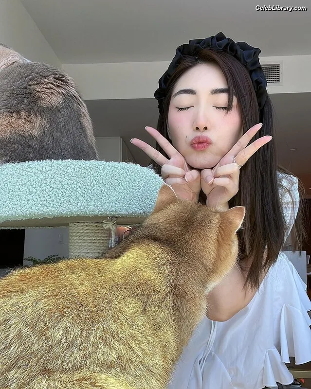 xChocobars photo 11 of 762
