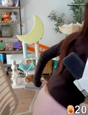 xChocobars photo 1 of 762