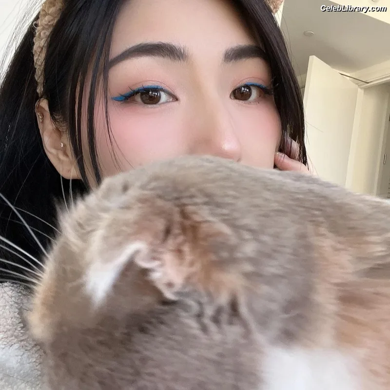 xChocobars photo 15 of 762