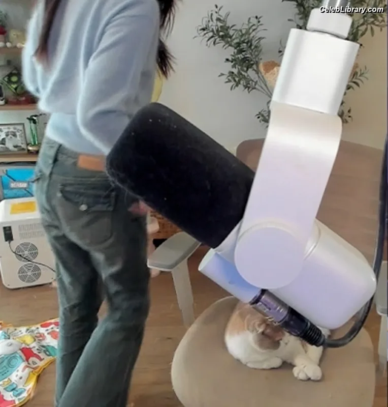 xChocobars photo 22 of 762