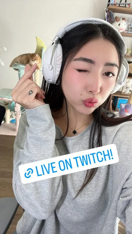 xChocobars photo 18 of 762