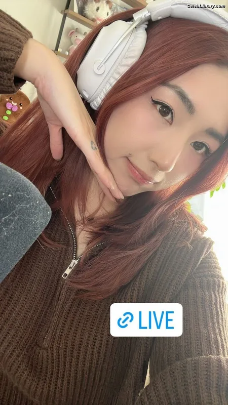 xChocobars photo 22 of 762