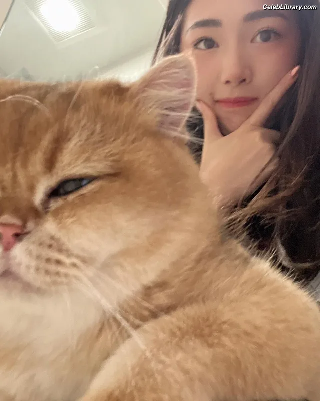 xChocobars photo 4 of 762