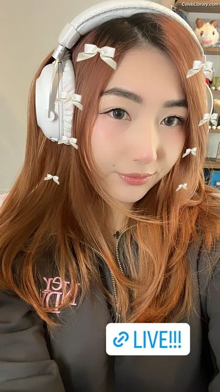 xChocobars photo 8 of 762