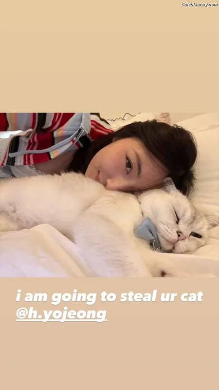 xChocobars photo 12 of 762