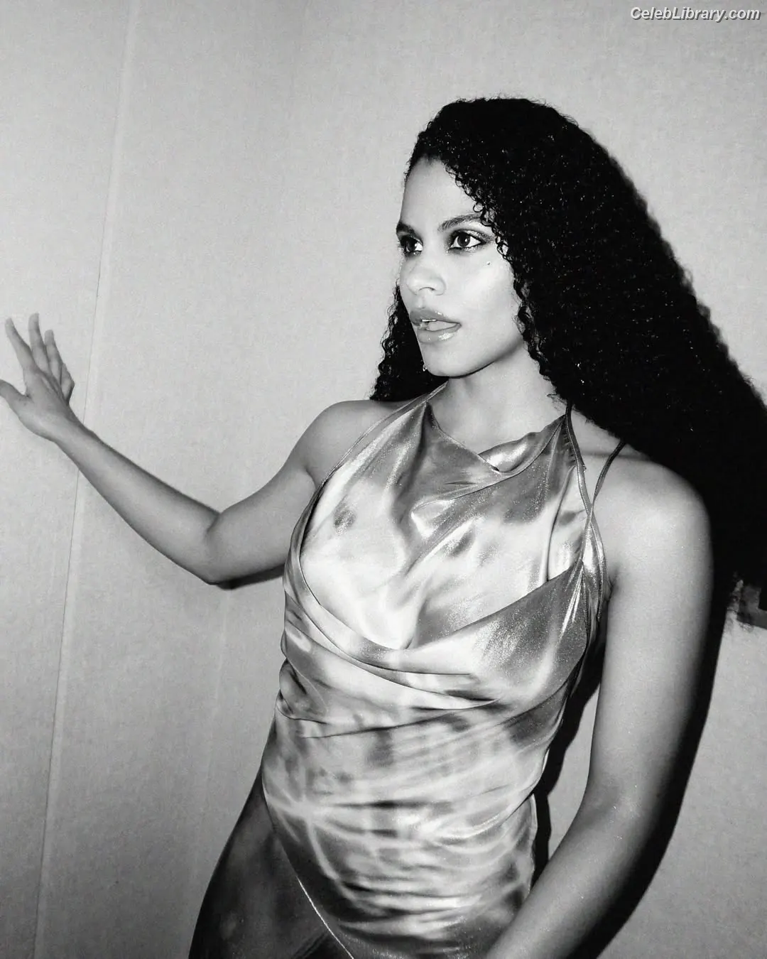 Zazie beetz photo 8 of 162