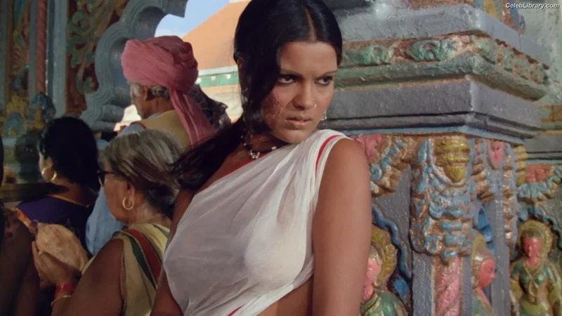 Zeenat Aman photo 20 of 34