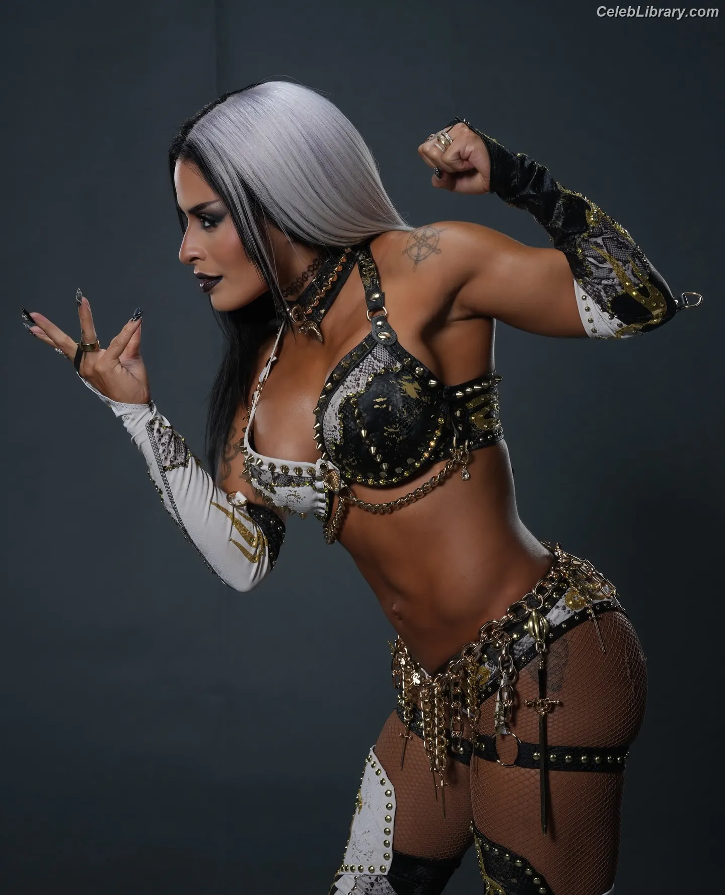 Zelina Vega photo 21 of 1497