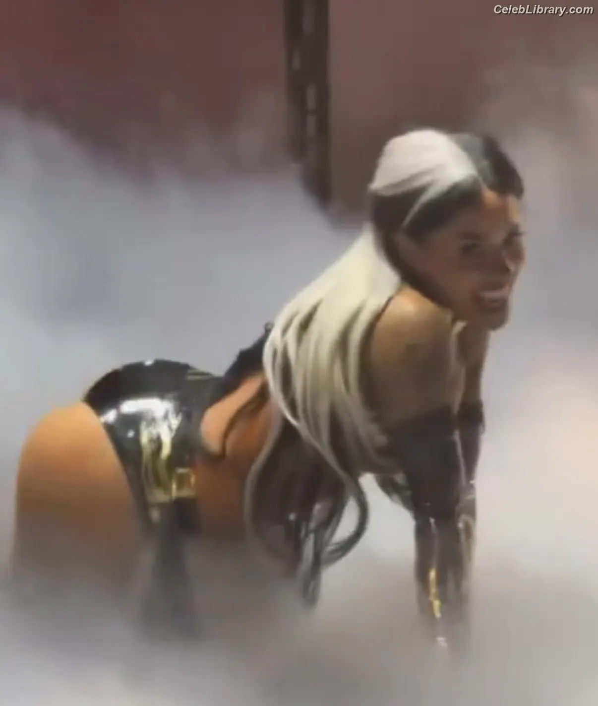 Zelina Vega photo 1 of 1497