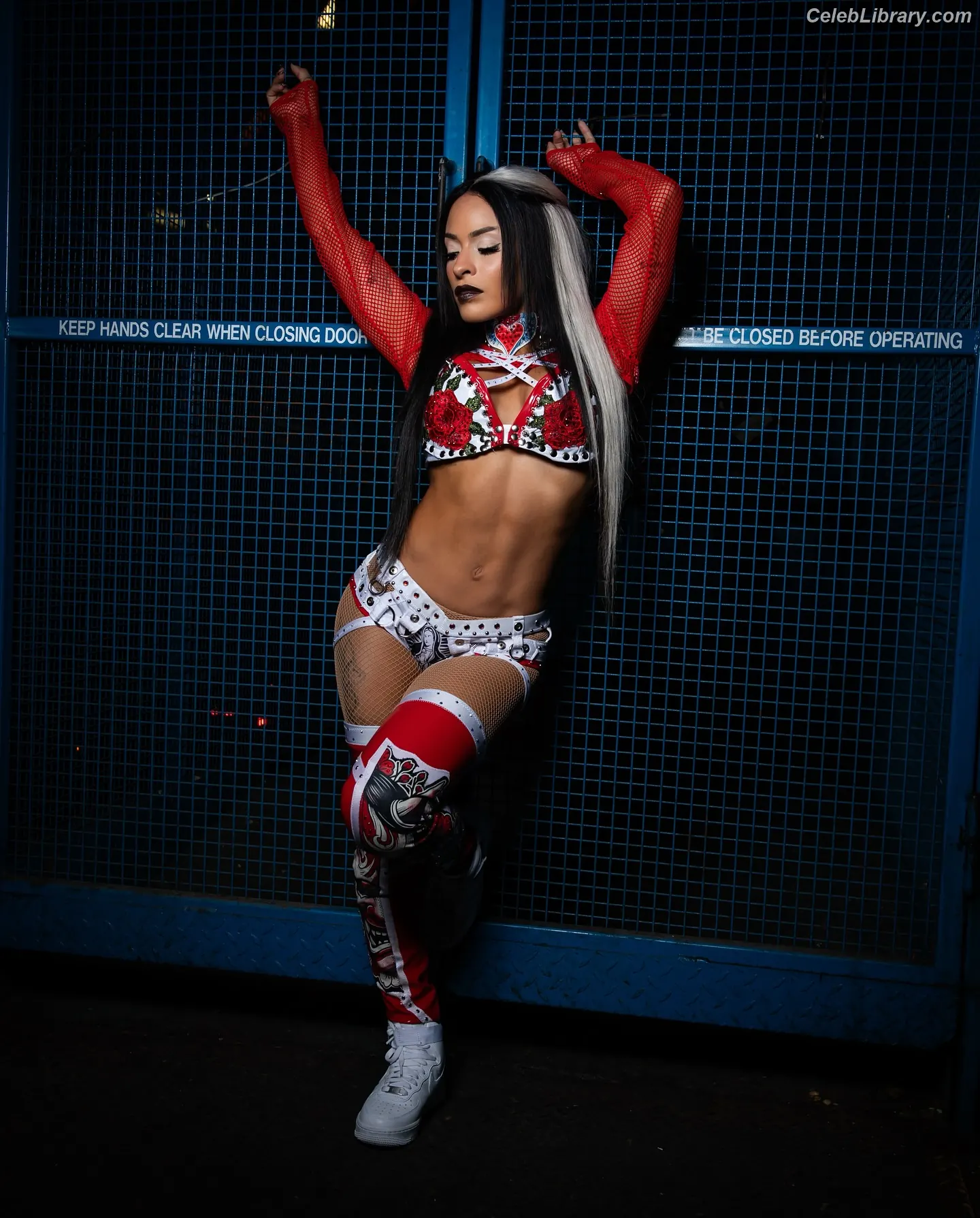 Zelina Vega photo 5 of 1497