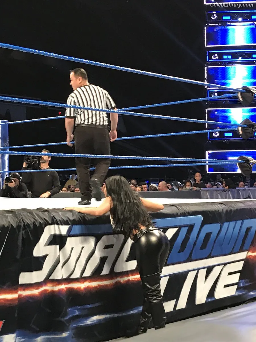 Zelina Vega photo 19 of 1497