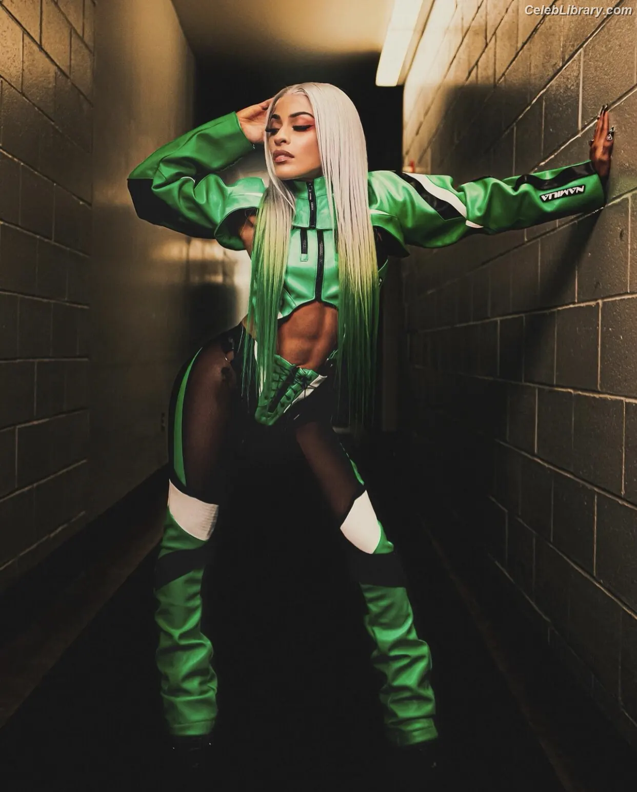 Zelina Vega photo 11 of 1497