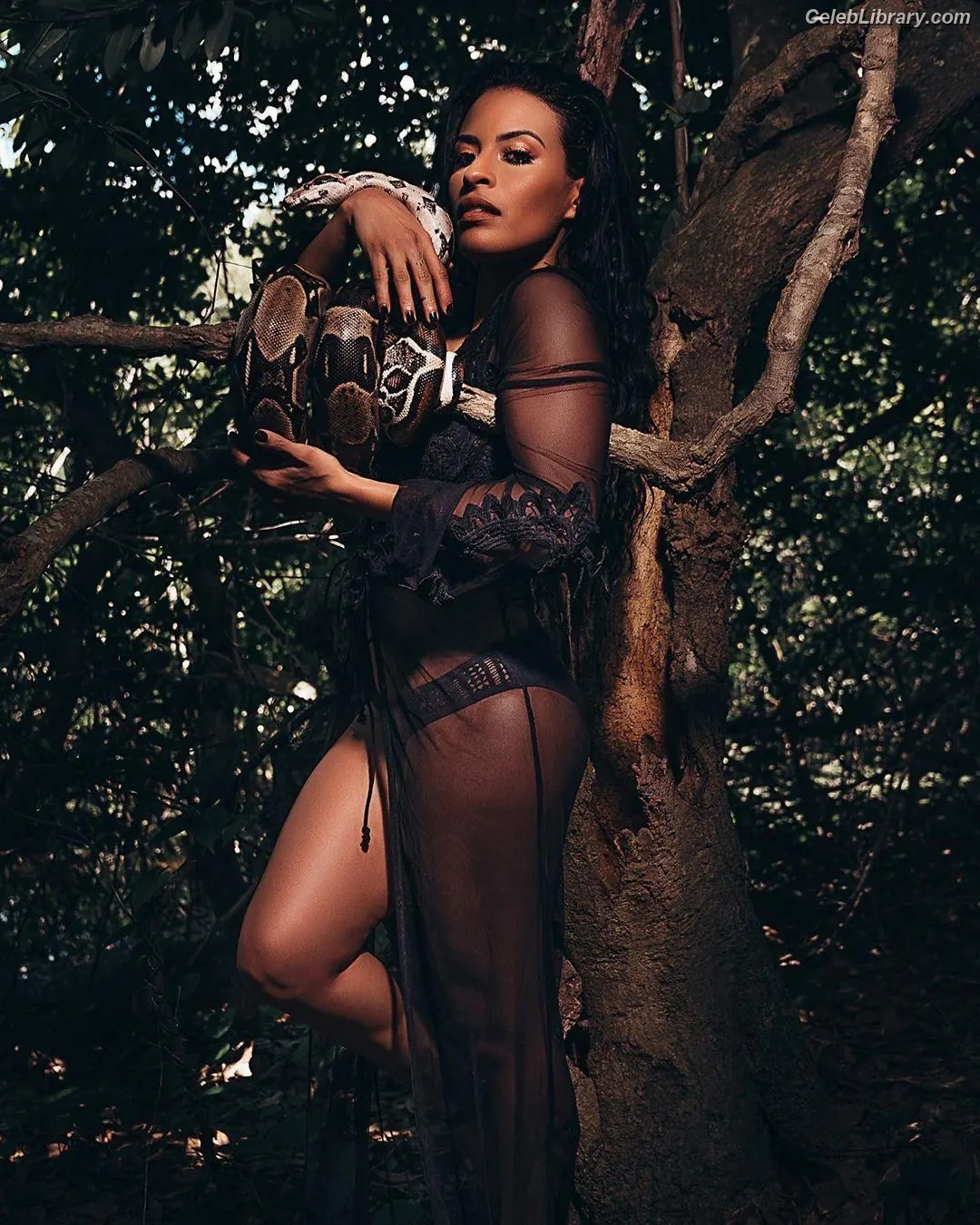 Zelina Vega photo 17 of 1497