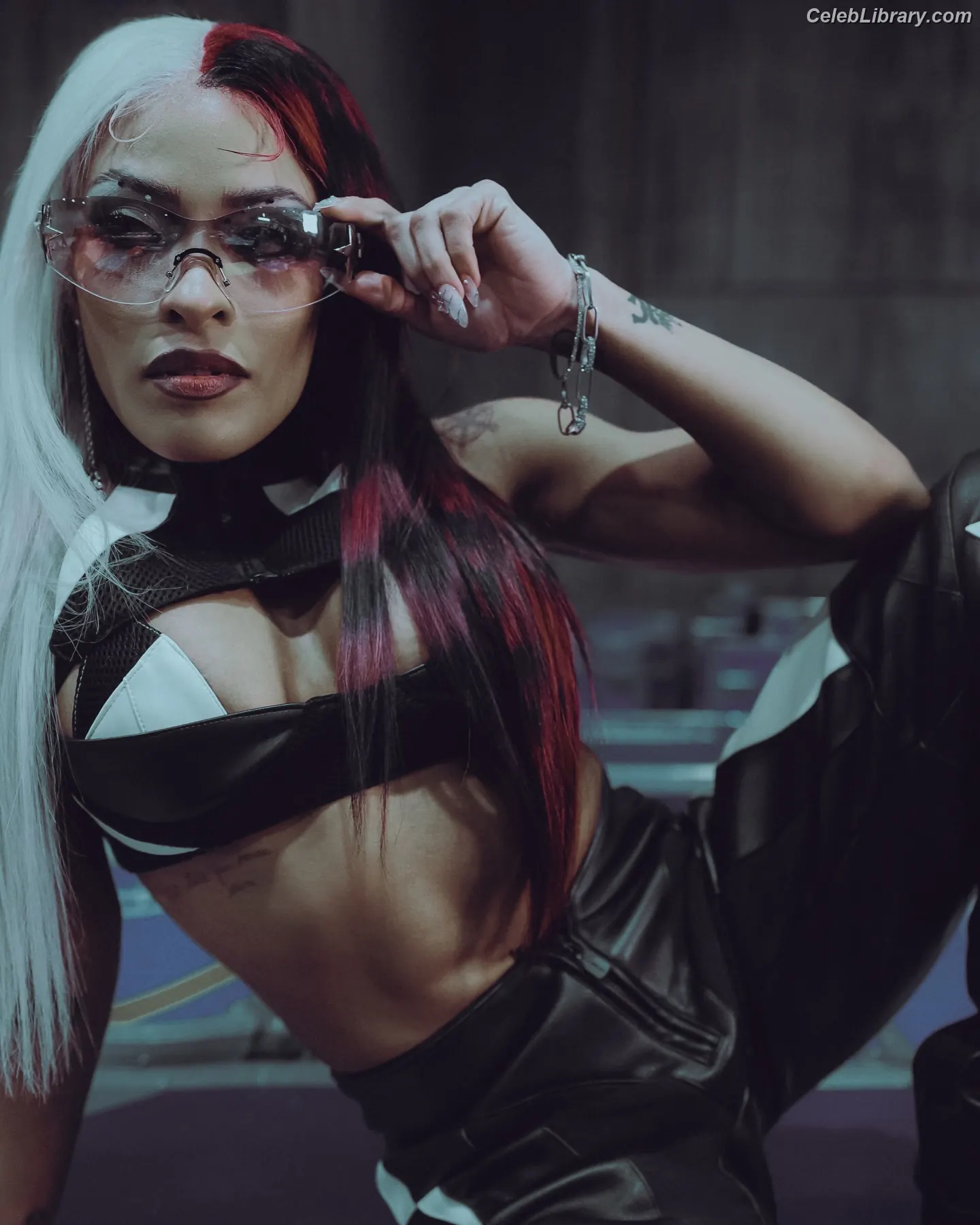 Zelina Vega photo 8 of 1497