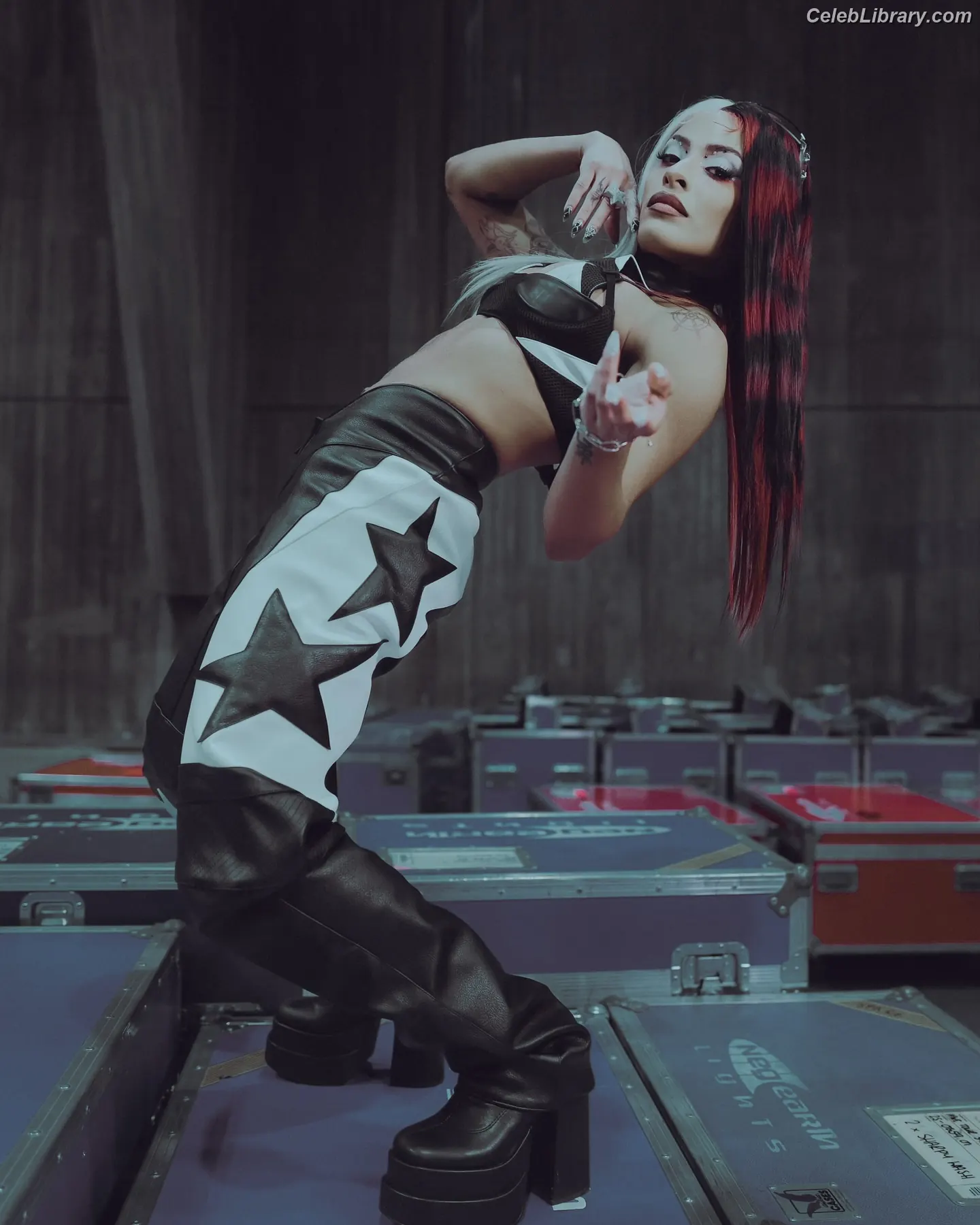 Zelina Vega photo 13 of 1497