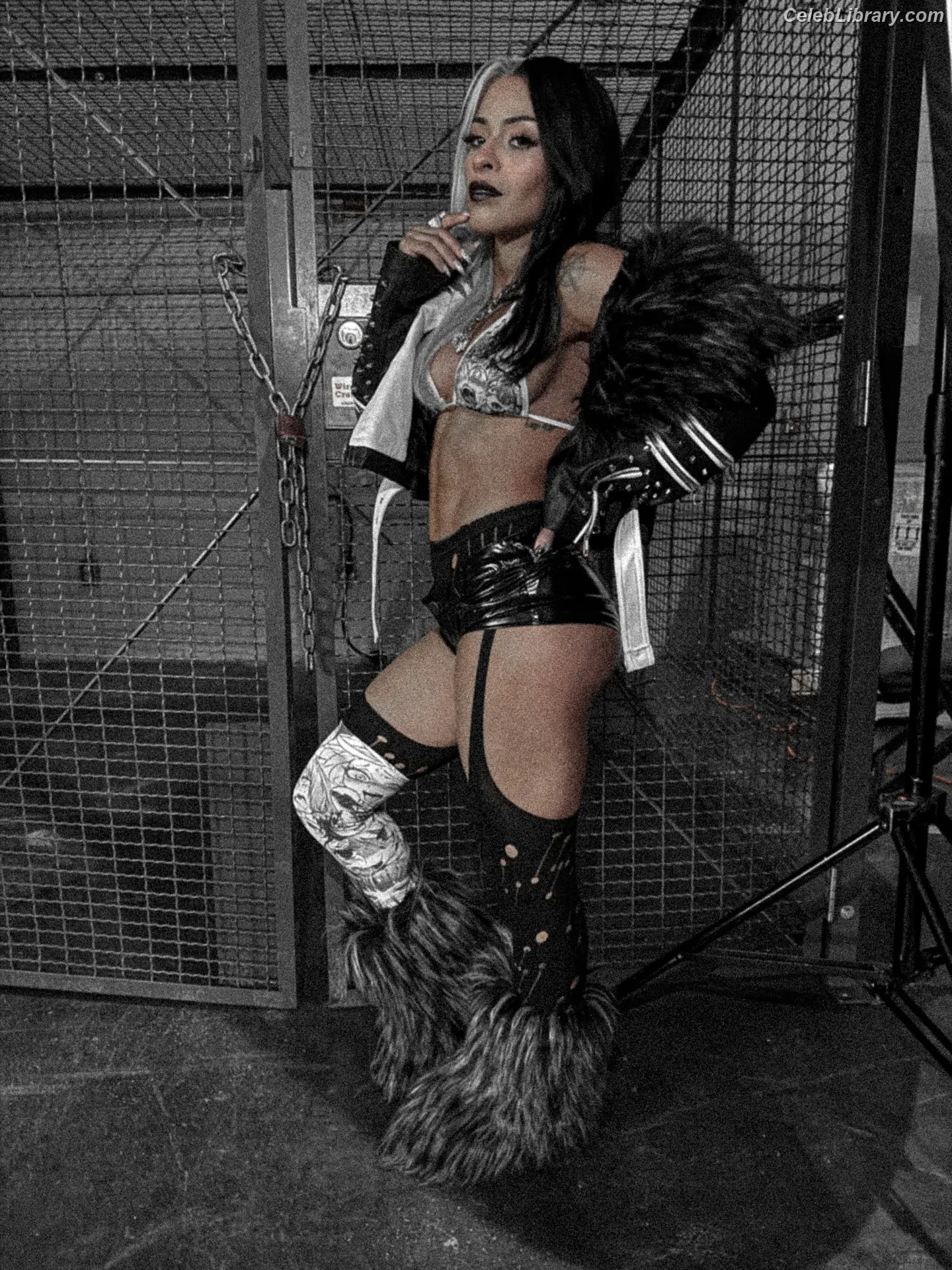 Zelina Vega photo 16 of 1497