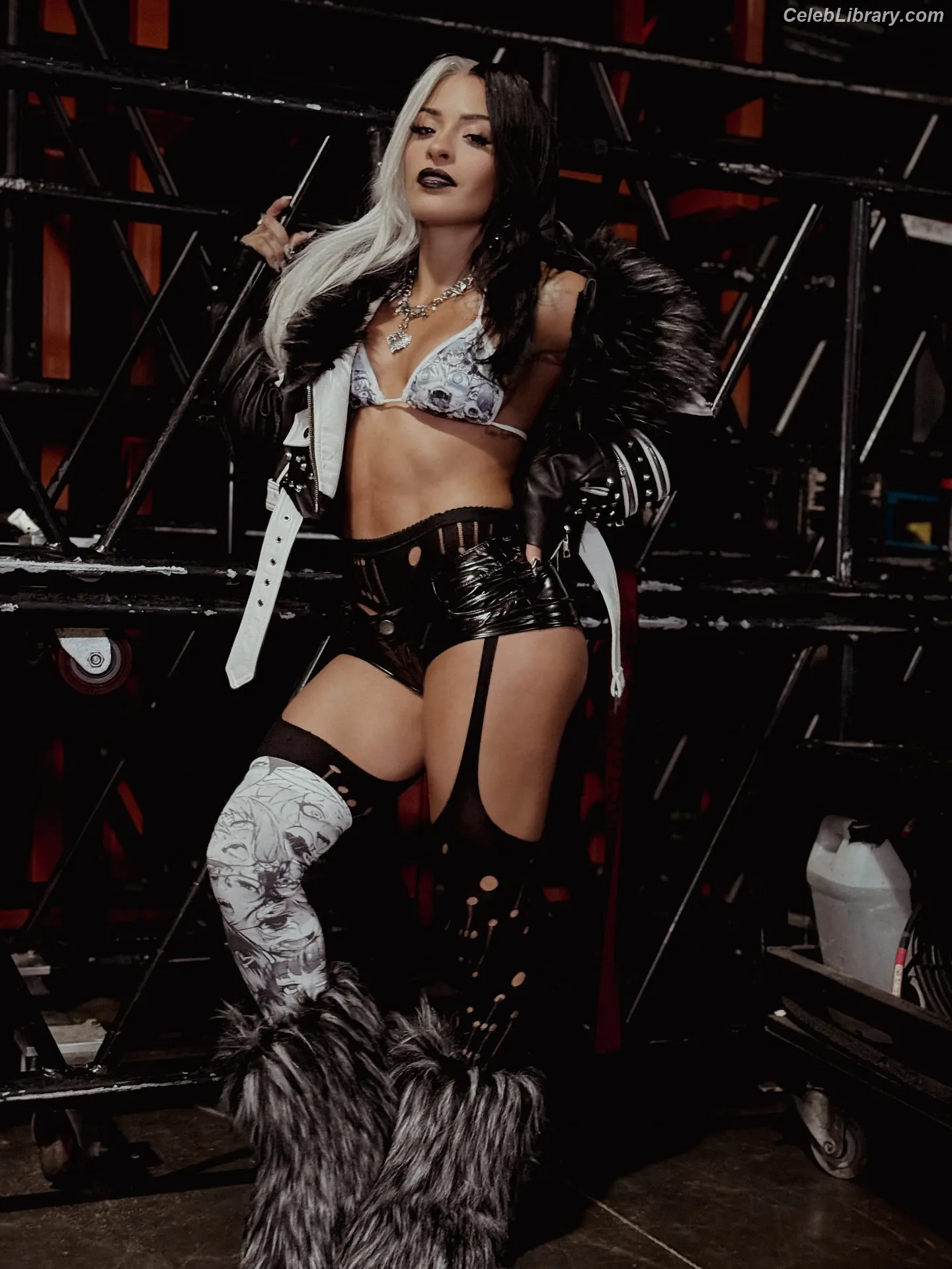 Zelina Vega photo 22 of 1497