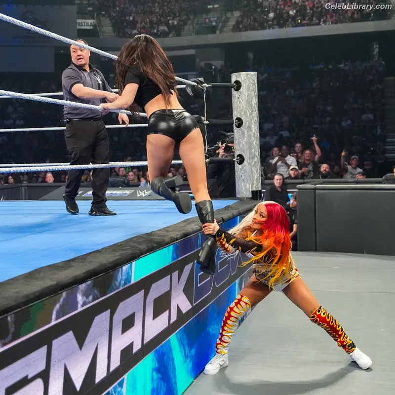 Zelina Vega photo 19 of 1497