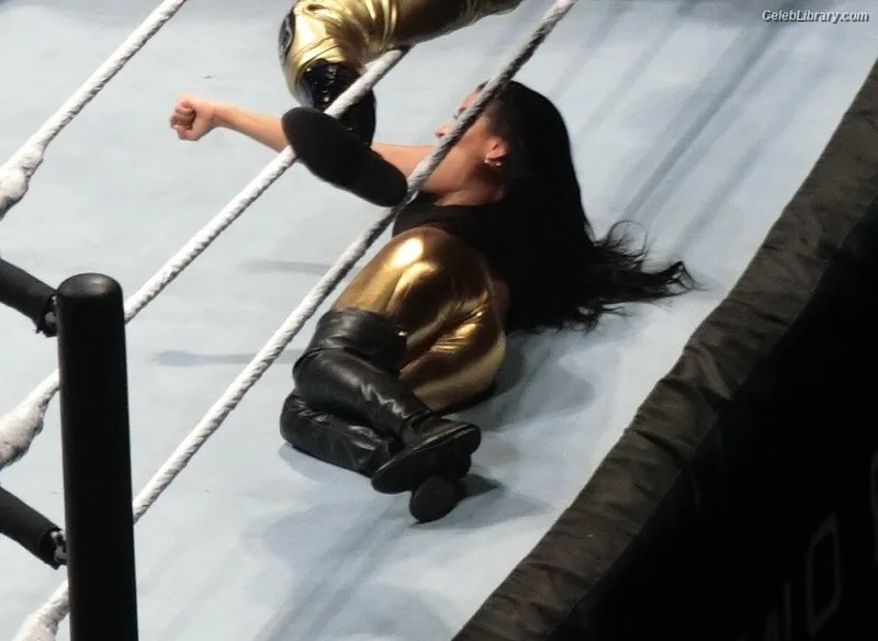 Zelina Vega photo 21 of 1497