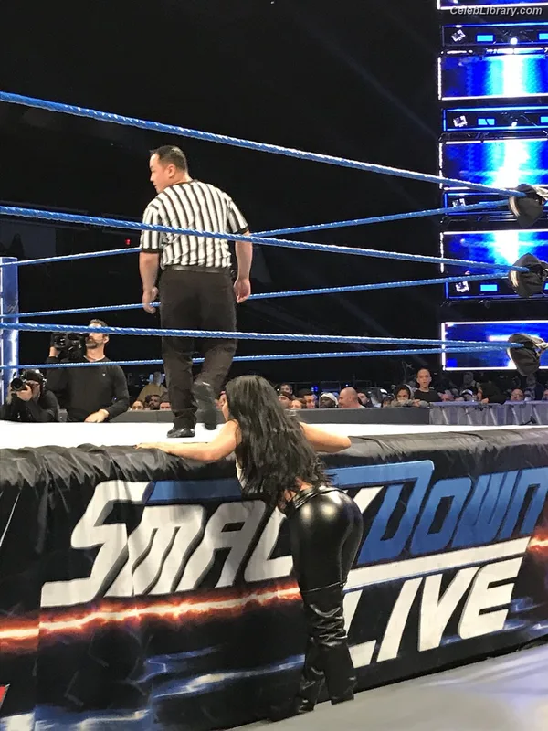 Zelina Vega photo 18 of 1497