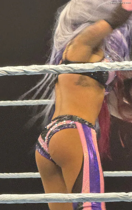 Zelina Vega photo 22 of 1497