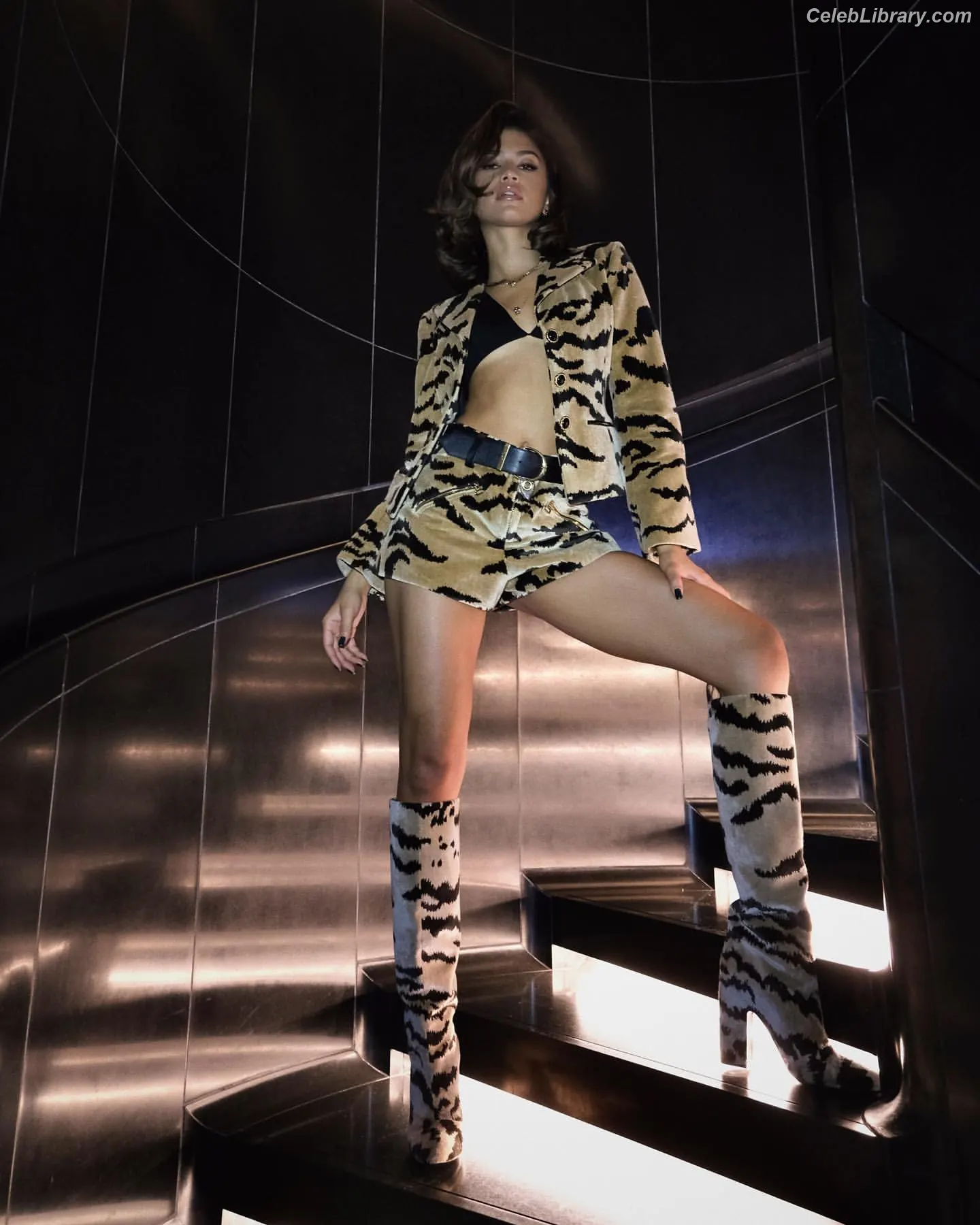 Zendaya photo 1 of 1935