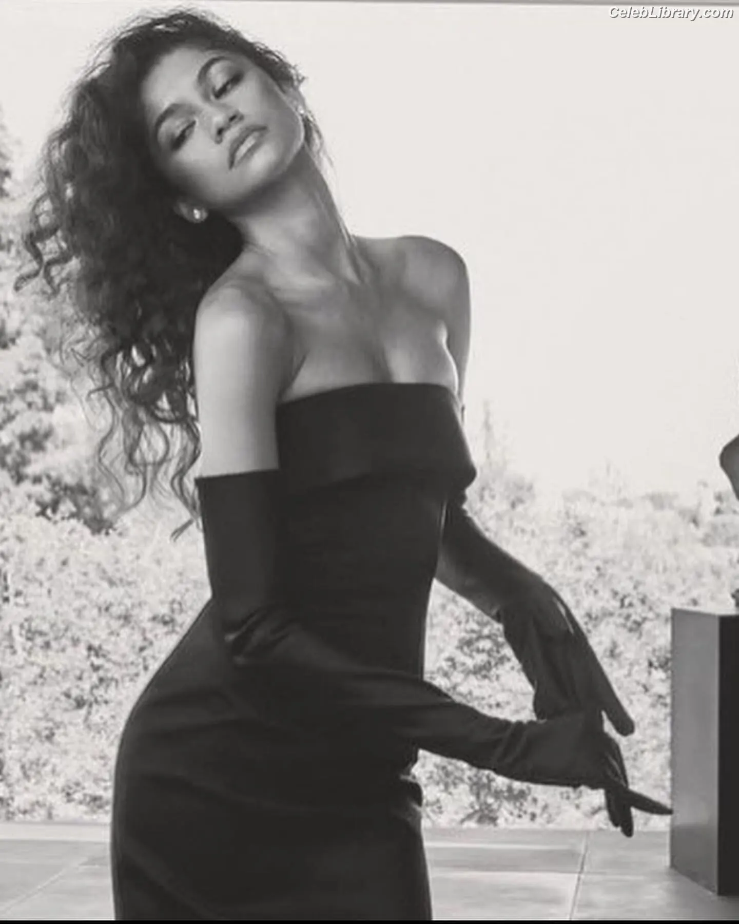 Zendaya photo 15 of 1935