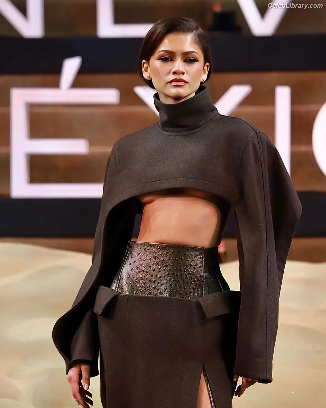 Zendaya photo 6 of 1935