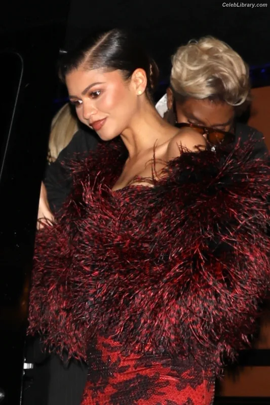 Zendaya photo 15 of 1926