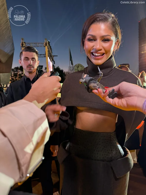 Zendaya photo 23 of 1926