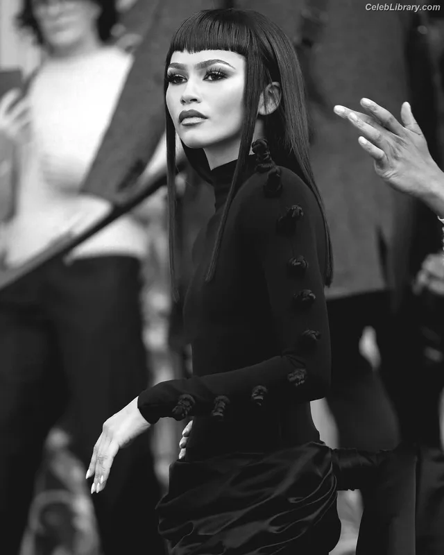 Zendaya photo 6 of 1926