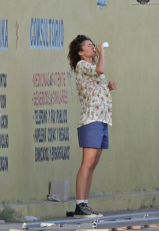 Zendaya photo 2 of 1926