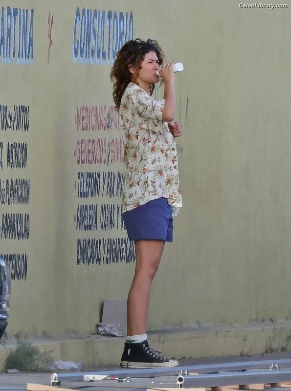 Zendaya photo 5 of 1926