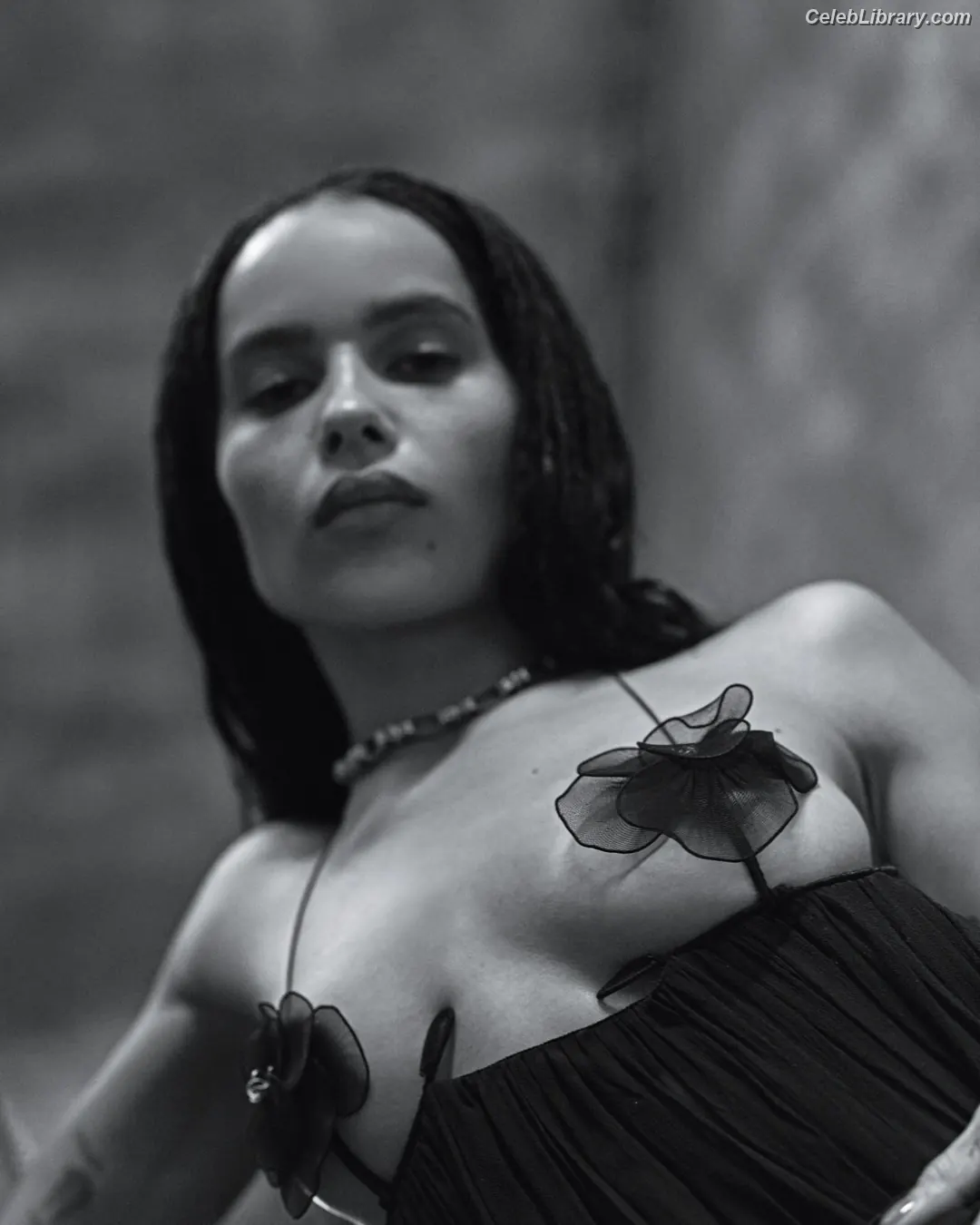 Zoë Kravitz photo 1 of 404