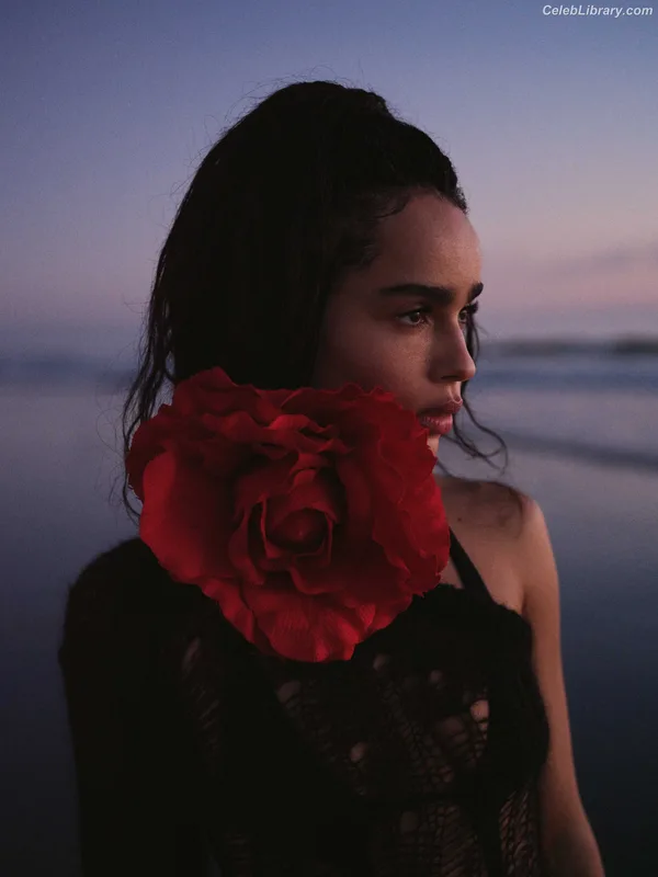 Zoë Kravitz photo 13 of 404